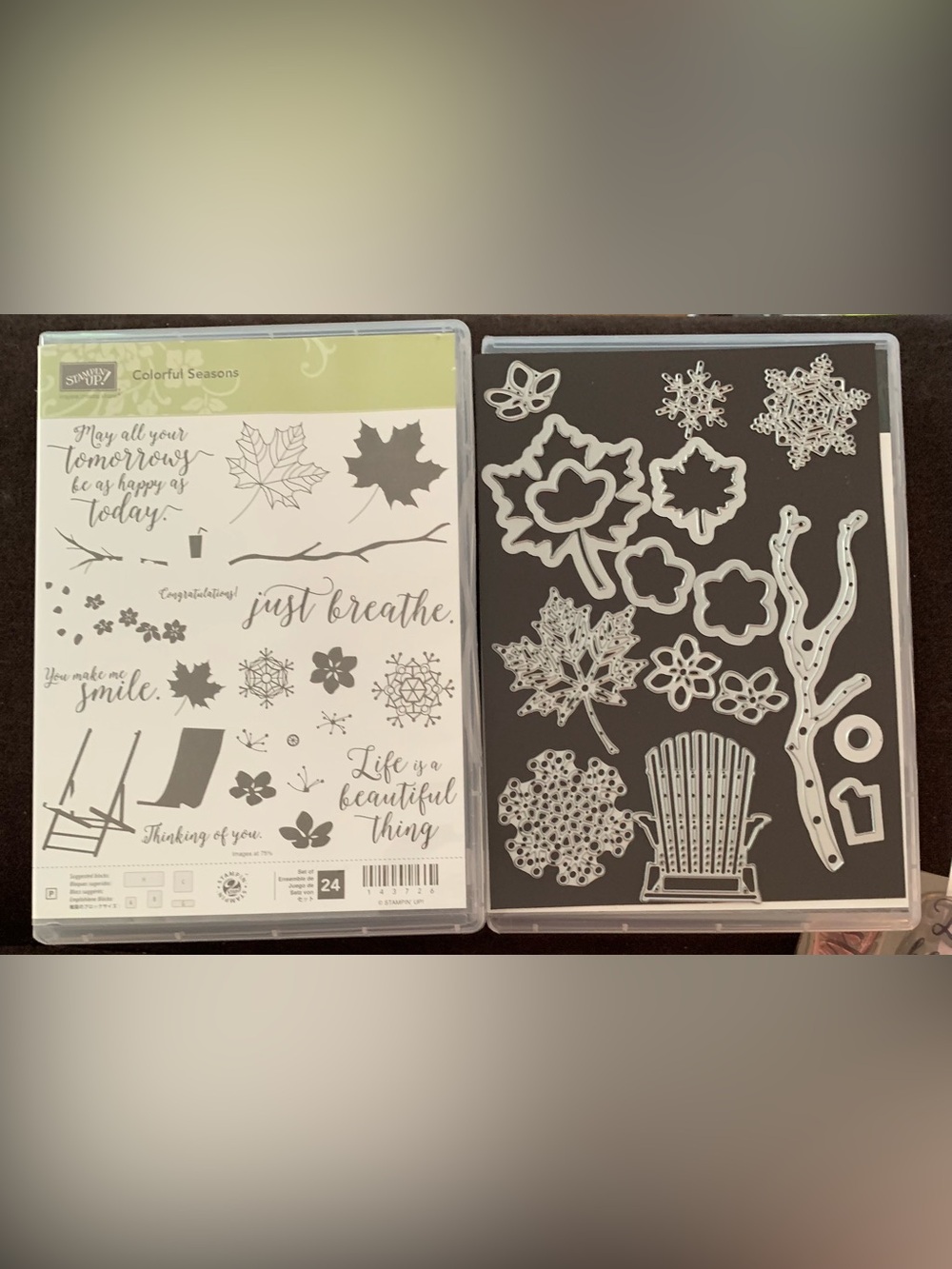 Stampin' Up! Colorful Seasons Clear Stamp and Thinlits Set Bundle. Dies are new